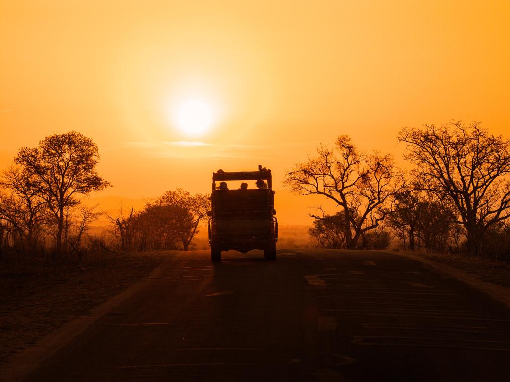 Silhouette of safari vehicle on the brow of a hill at sunset, with golden sunlight and silhouettes of trees. Kruger National Park, South Africa.