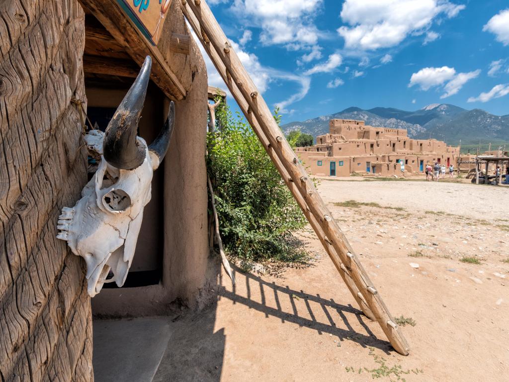 Taos Pueblo seen in the background, set against a blue sky with an animal skull in the foreground