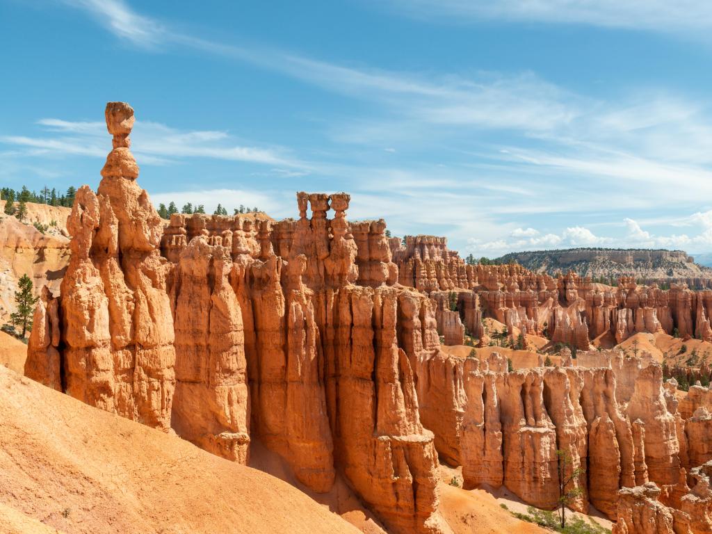 Bryce Canyon National Park, Utah with a view of hoodoos including Thor's Hammer from Navajo Loop ion a sunny day.