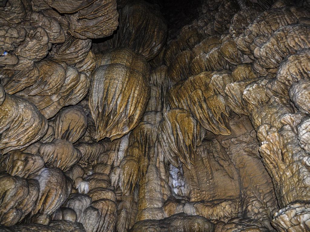 Formations on a cave walls at the Oregon National Caves Monument