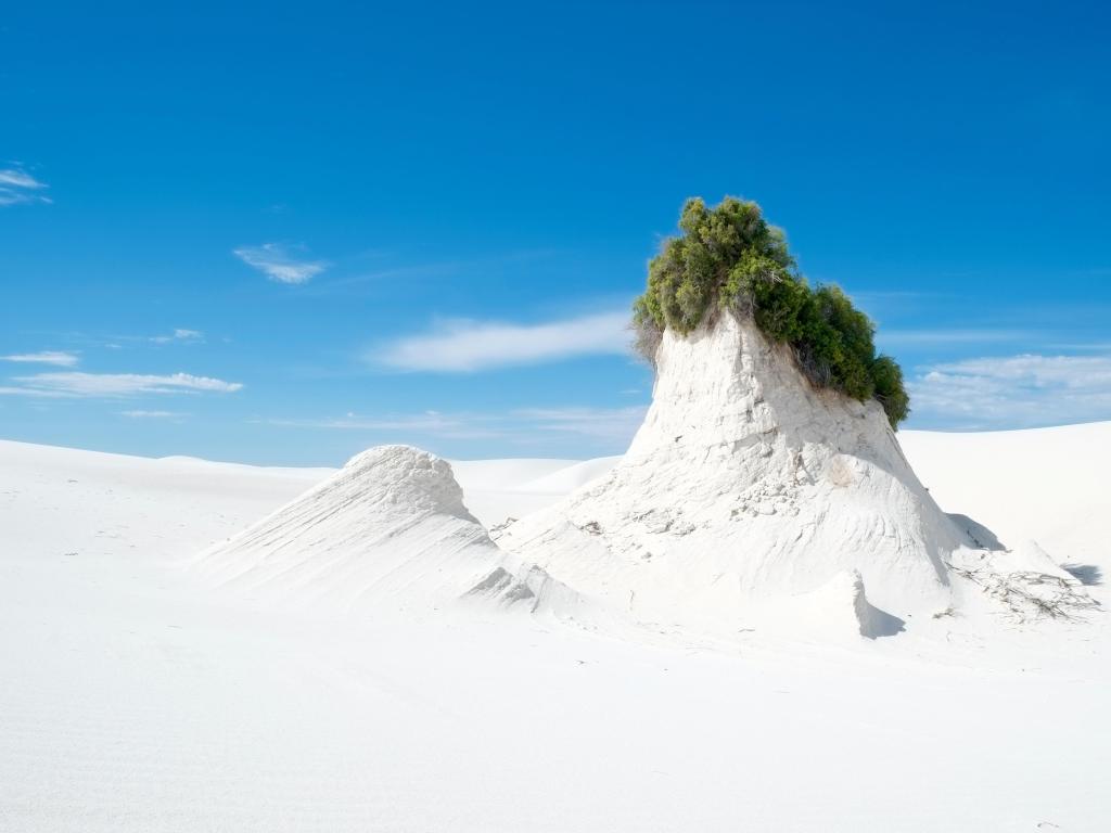 White Sands National Monument, El Paso, USA with white sand, blue sky and a plant growing on the top of a mound. 