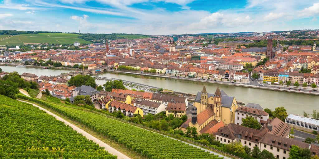 Green vineyards with the city of Wurzburg, Germany, and the river beyond them
