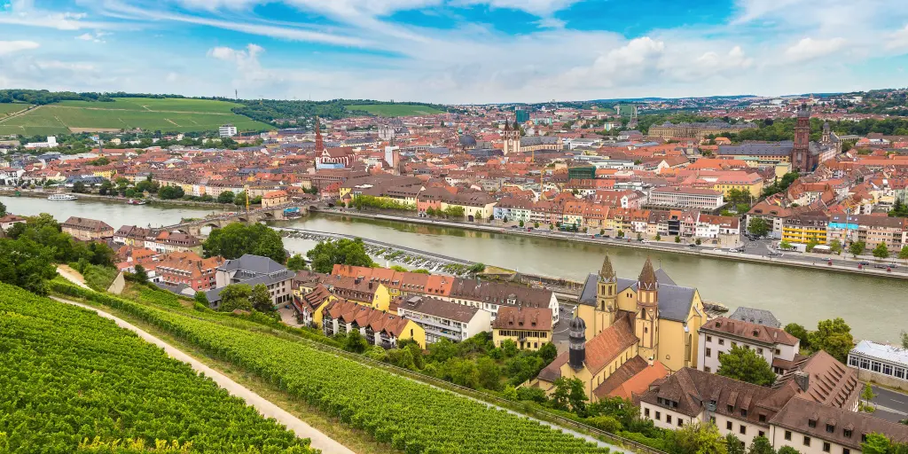 Green vineyards with the city of Wurzburg, Germany, and the river beyond them