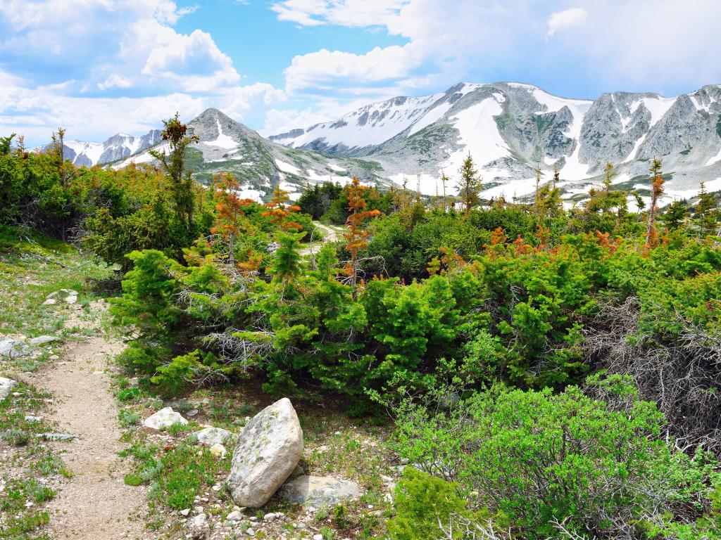 Medicine Bow, Wyoming, USA with a view of the trail in Snowy Range Mountains in summer.