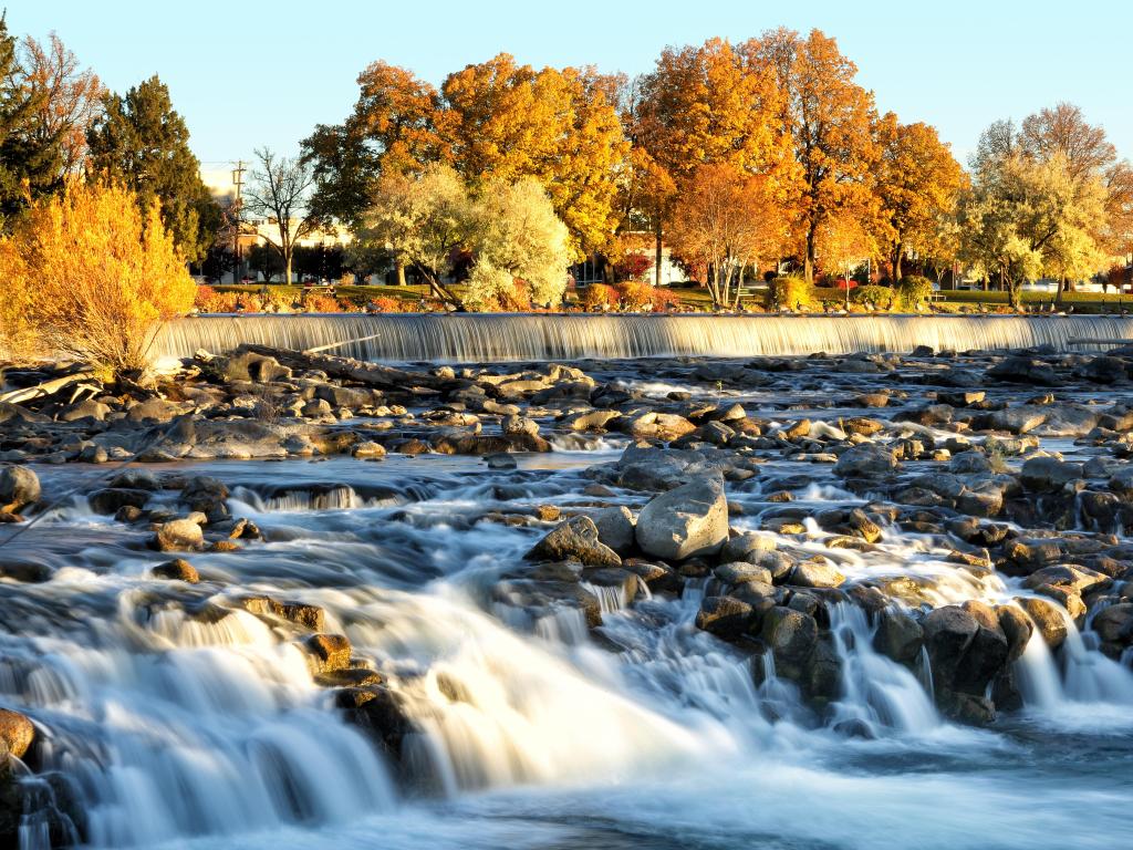 Shallow water running over rocks with white spray, wide waterfall behind and trees with autumn colours on the bank