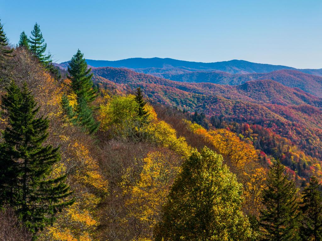 Autumn Scenics in the Great Smoky Mountains National Park