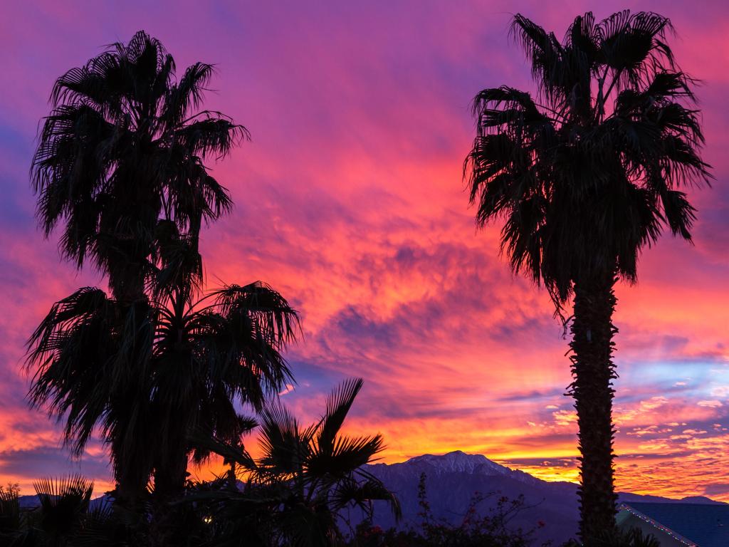 Vibrant sunset at the San Jacinto Mountains near Palm Springs with palm trees silhouetted