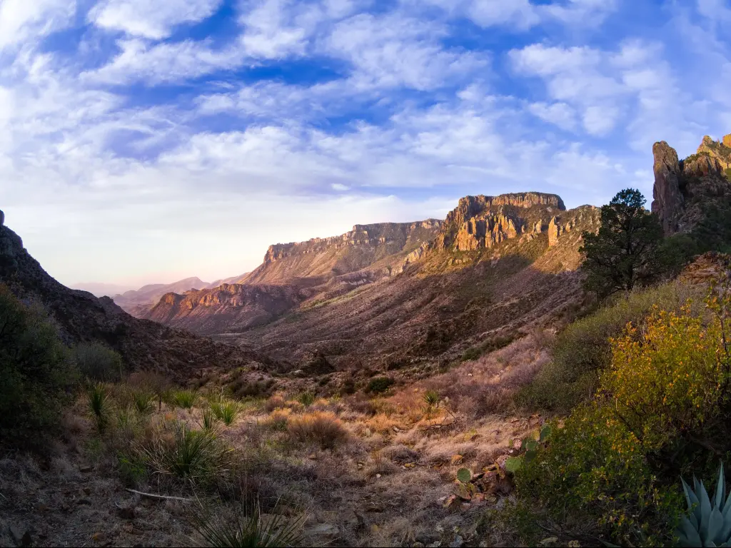 Big Bend National Park, Texas with a stunning sunrise in the distance, cliffs at either side and foliage in the foreground above a blue sky.