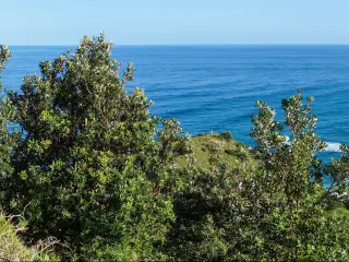 Wide empty sandy beach at the foot of green hills with waves breaking