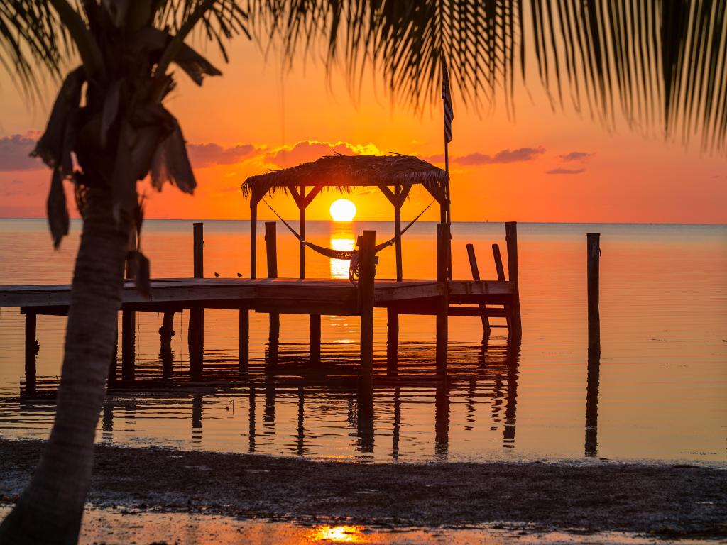 Sunrise over a hammock in Key West, Florida