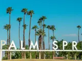 Palm Springs Welcome Sign with blue sky and palm trees