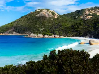 White sand beach in a small horseshoe shaped bay surrounded by heavily forested slopes