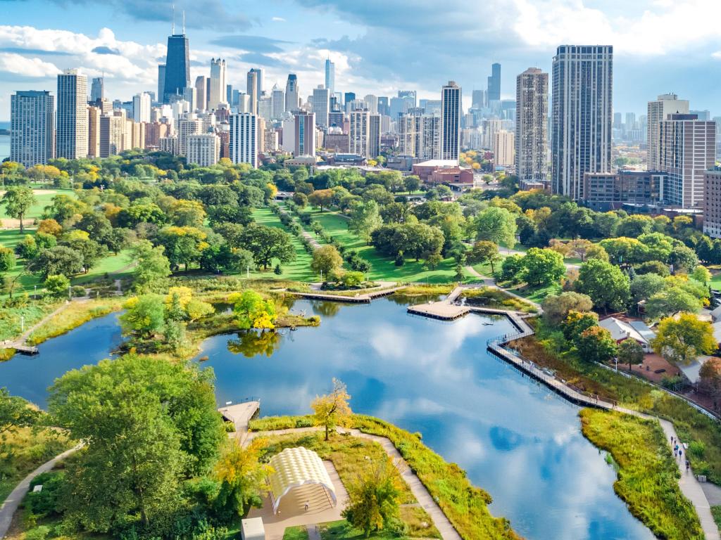 Chicago Skyline