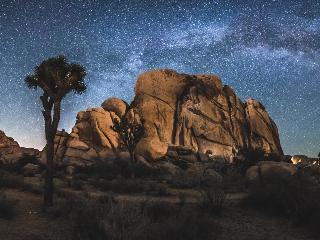 Milky Way above Joshua Tree