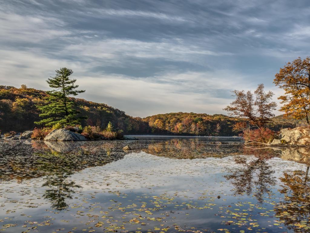 Harriman State Park, New York, USA taken during fall with a lake in the foreground and fallen trees on the surface, trees and hills in the background. 