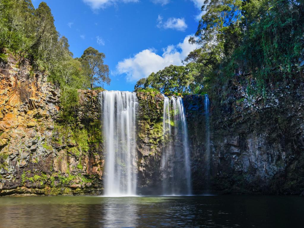 Dangar Falls near Dorrigo and the Dorrigo National Park are just one of the many beautiful stops along the way.