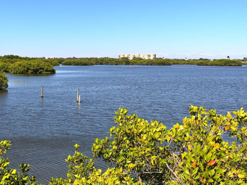 Pinellas Bike Trail in St. Petersburg