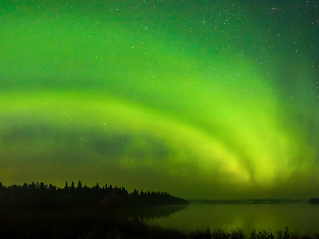 Northern Lights in the sky over the national park at night