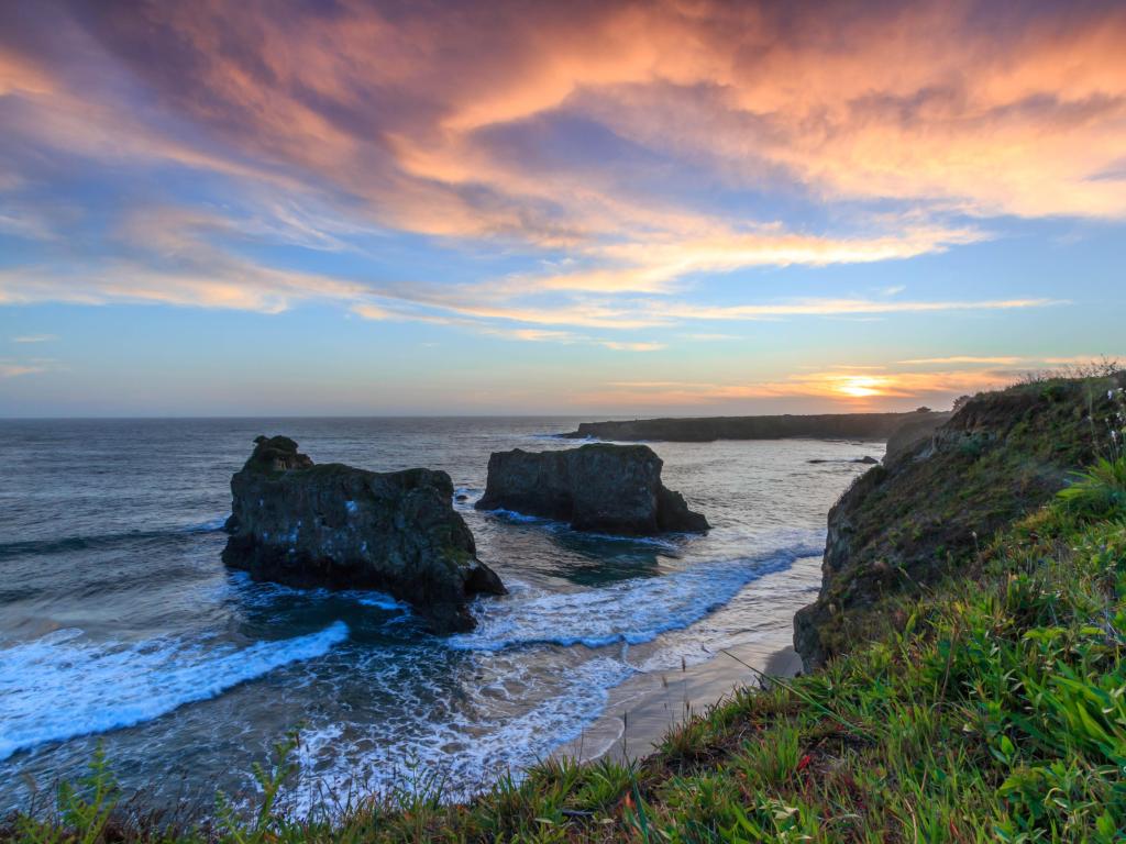 Mendocino, California, USA with grass and wildflowers in the foreground, a rocky sea cover and sunset.