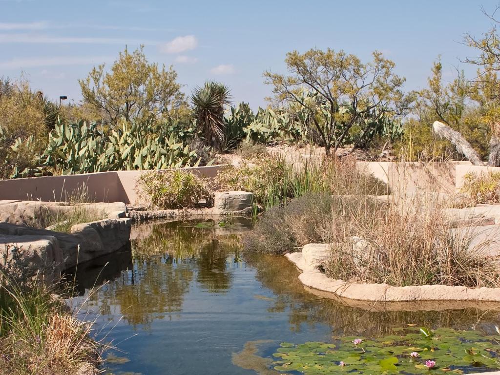 Landscape across The Living Desert Zoo and Gardens State Park