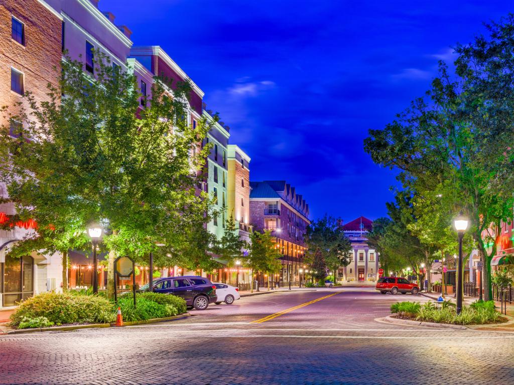 Gainesville, Florida, USA downtown at twilight with tree lined streets and beautifully coloured buildings.