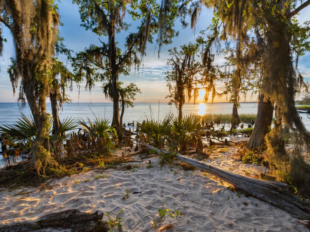 Fontainebleau State Park on Lake Pontchartrain Northshore, near New Orleans, Louisiana.