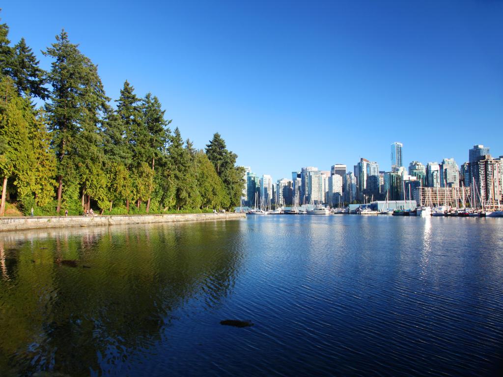 Stanley Park in Vancouver, Canada. The photo is taken on a clear day with blue skies and depicts where the trees of the park meet the Vancouver skyline.
