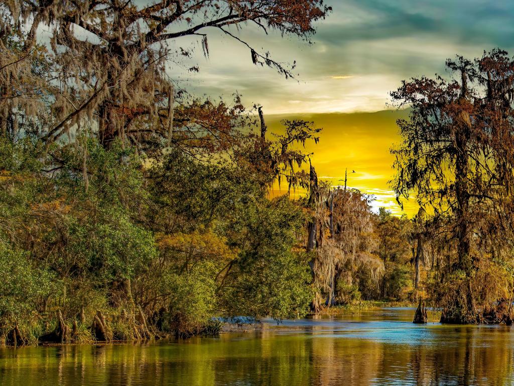 Bayou, Louisiana with a swamp in the foreground and trees in the distance at sunset with a dramatic sky.