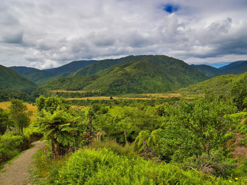 Boielle Flat in the Otaki Forks area of Tararua Forest Park, Kapiti Coast district, North Island, New Zealand, a mountainous area with rainforest and marshland.