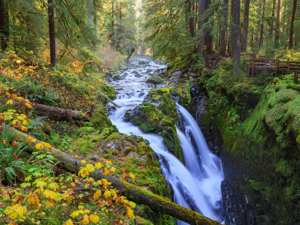 Sol Duc waterfall in rainforest at Olympic National Park, Oregon Coast.