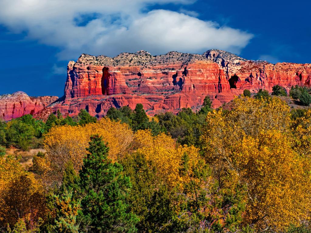 Coconino National Forest, USA with trees of yellows and greens in the foreground and the stunning red mountain landscape in the distance on a clear sunny day.