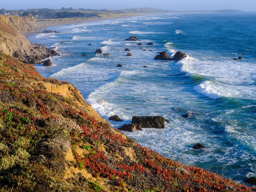 Rolling waves crashing towards the rugged, wildflower-topped coastline of Bodega Bay, California