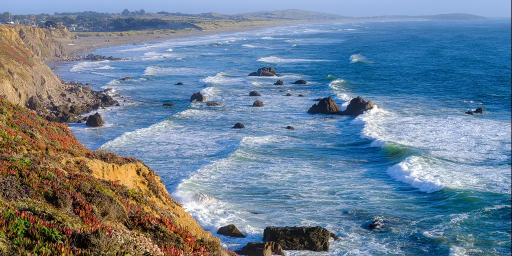 Sacramento to Bodega Bay Road Trip