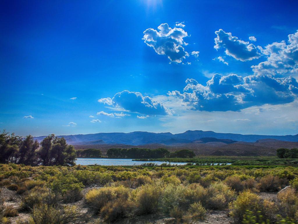 Vegetation in the foreground near Upper Pahranagat Lake with mountains behind