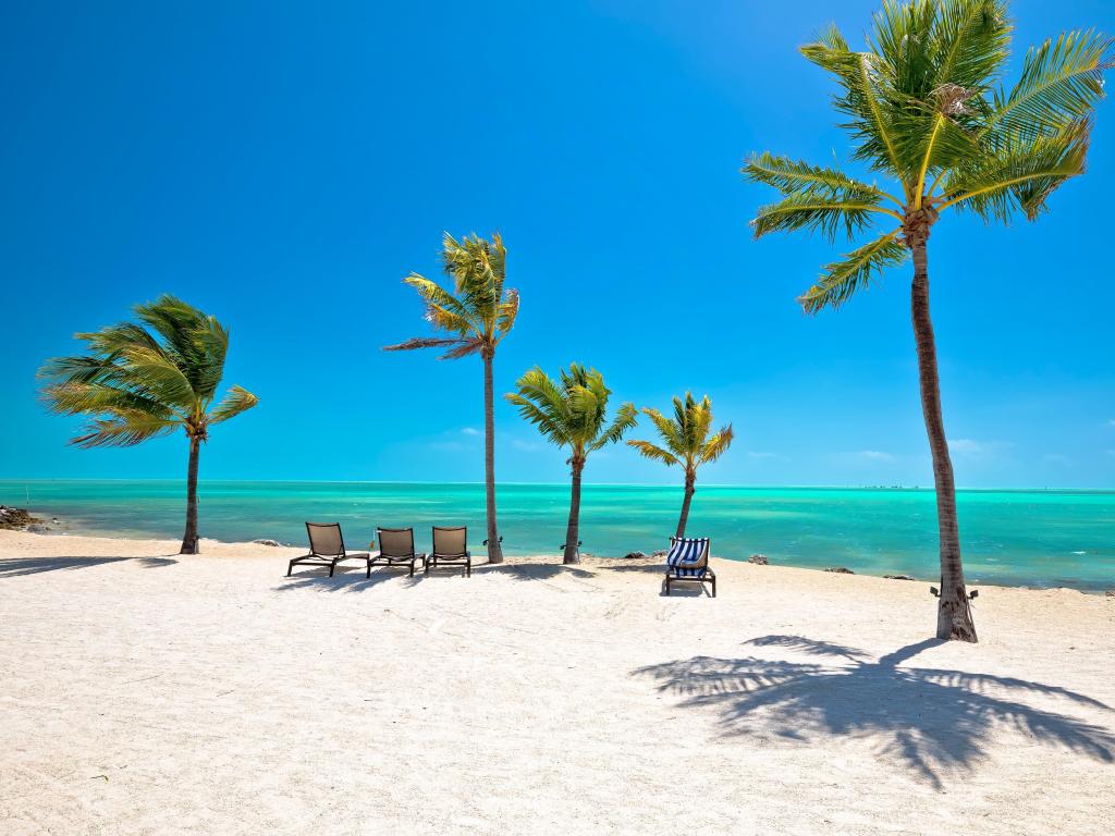  Islamorada white sand beach 