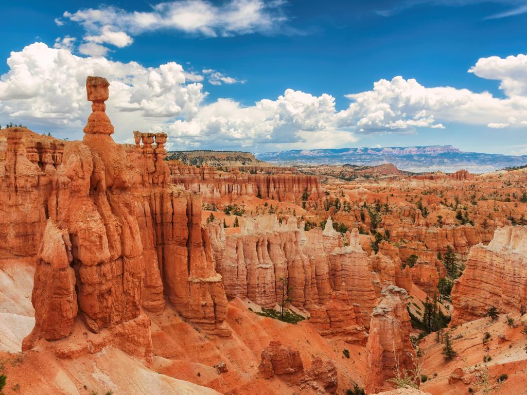 Red-colored hoodoos in Bryce Canyon on a sunny day with some clouds in the sky.