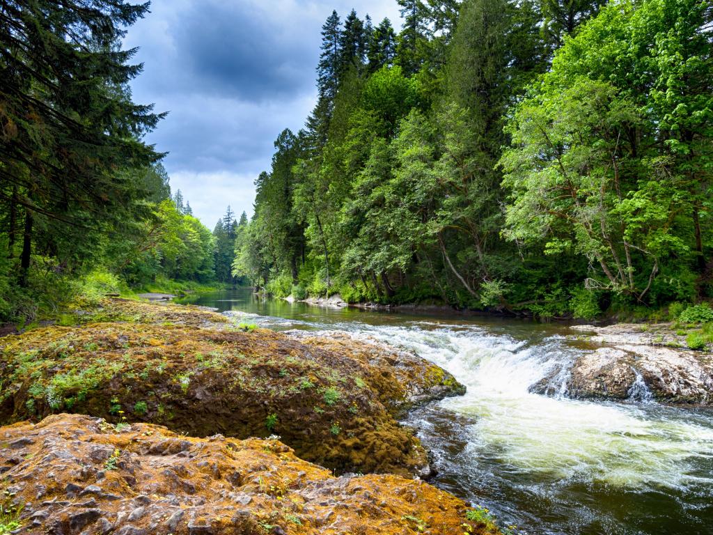 A river flowing through rocks surrounded by trees on a cloudy day