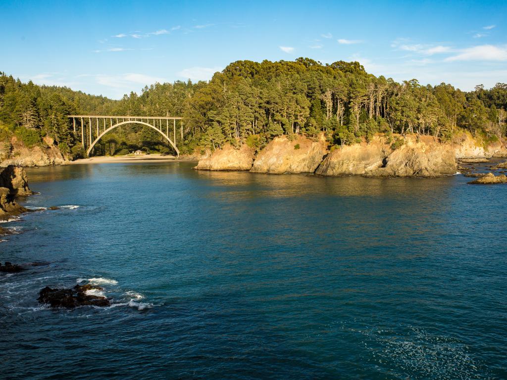 Bridge, cliffs, and redwood forest in Mendocino, California