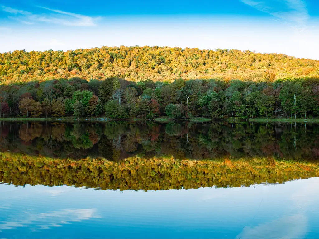 Forested hill at edge of calm lake, leaves beginning to change in Autumn and reflection of trees and shadows in water. Waneta Lake, Catskills, New York State, USA 
