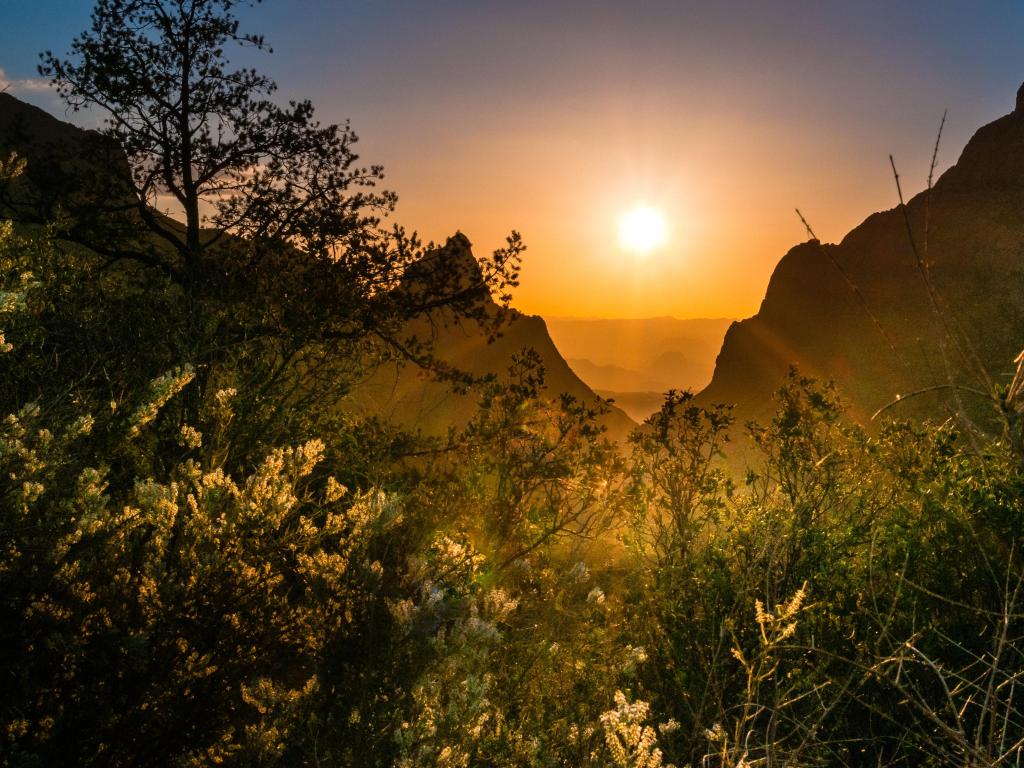  An iconic sight to behold, The Window at Big Bend National Park dazzles particularly during an August sunset, when the sun's golden rays beautifully light up the lush greenery in the foreground.