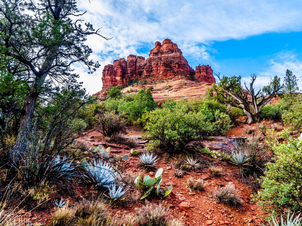 Bell Rock showing Vegetation growing on the Red Rocks and Red Soil in Coconino National Forest near Sedona in northern Arizona