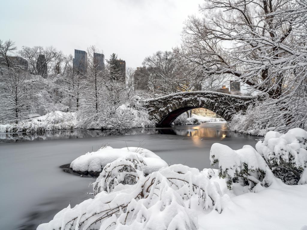 Central Park, New York City in the early morning after snow storm