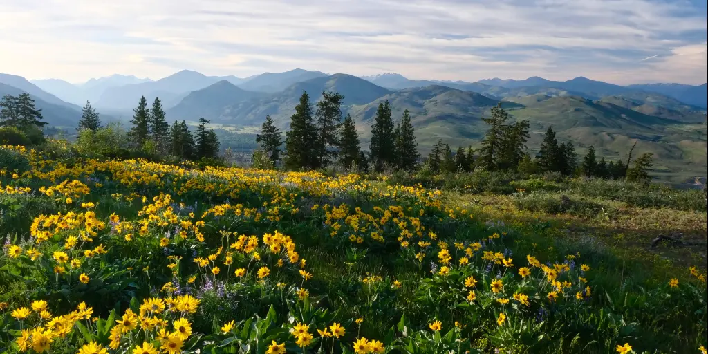 Seattle to Lake Chelan Road Trip