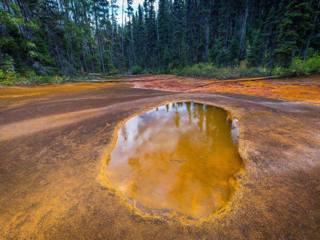 Bright red-brown colored mineral pool in Kootenay National Park