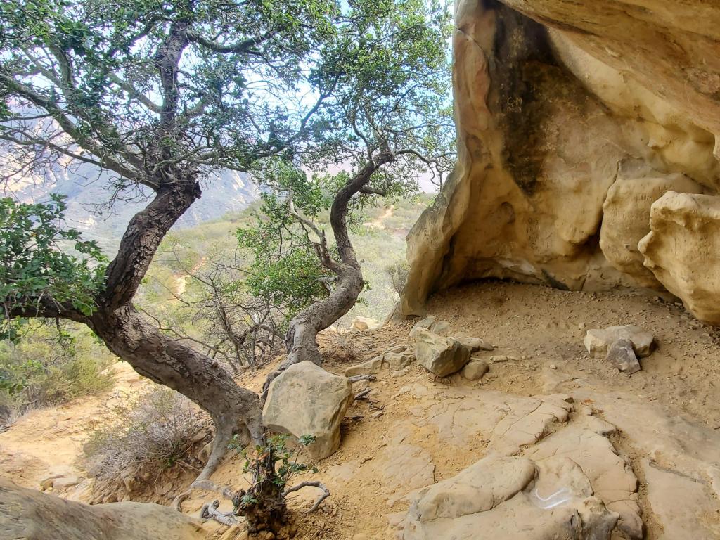 Gaviota wind caves, Santa Barbara County, USA with a cave and tree in the foreground.