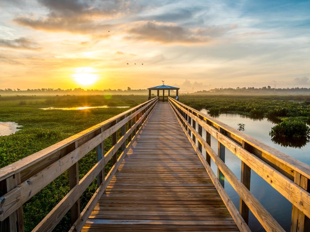 The Cattail Marsh Boardwalk, Beaumont, Texas at sunrise with the wooden walk over the wetlands and a viewing platform in the distance.