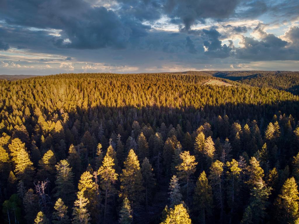 Evening light aerial shot over the Lincoln National Forest, New Mexico, USA with a beautiful and cloudy evening light.