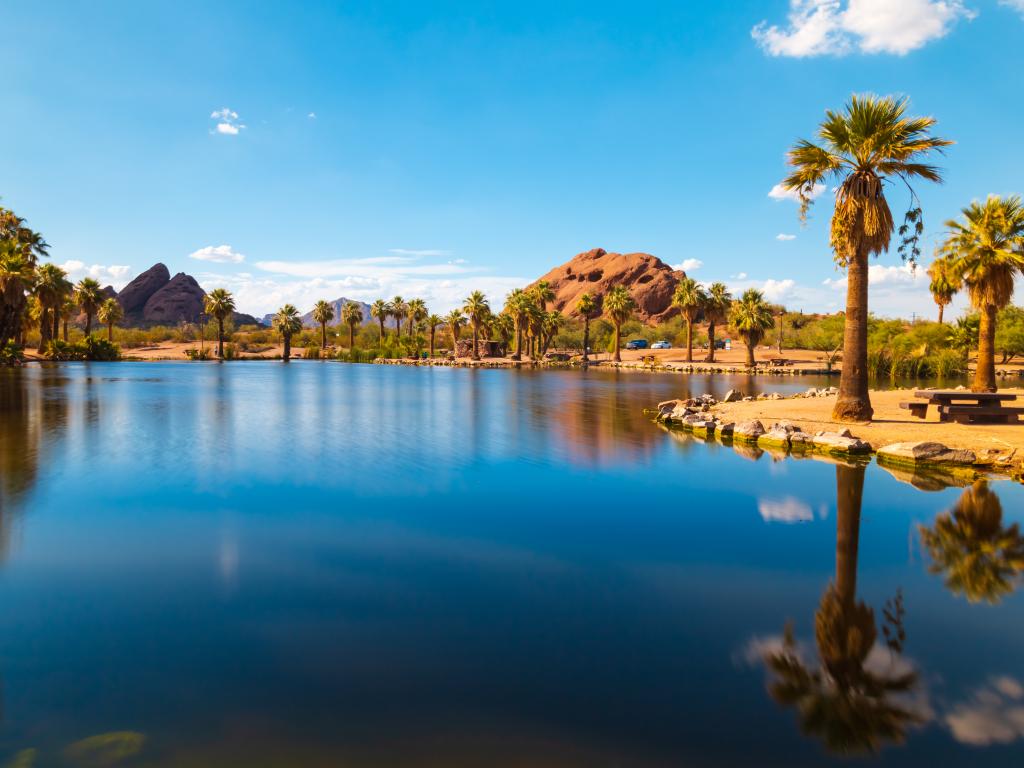A pond surrounded by palm trees and red rocks in Papago Park in Phoenix, Arizona.