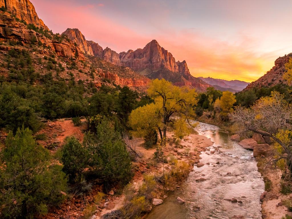 The rays of the sun illuminate red cliffs and river. Park at sunset. A beautiful pink sky. Zion National Park, Utah, USA