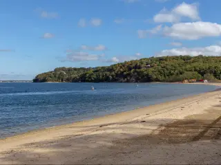 A shoreline in Shelter Island during a bright sunny day.